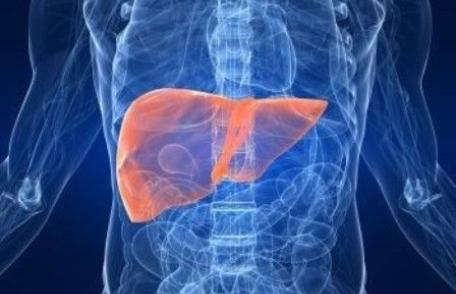 Câteva moduri simple prin care poţi să-ţi îmbunătăţeşti funcționarea ficatului