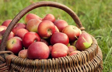 Merele conţin cele mai importante beneficii în coajă