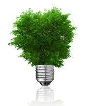 De ce sa alegi becurile economice?