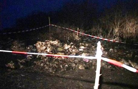 Descoperire macabră la Suharău. Zeci de leşuri de cai la marginea unui drum comunal 