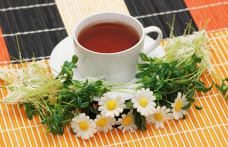 Ceaiul potrivit pentru orice tulburare: ghimbirul taie foamea şi menta linişteşte stomacul