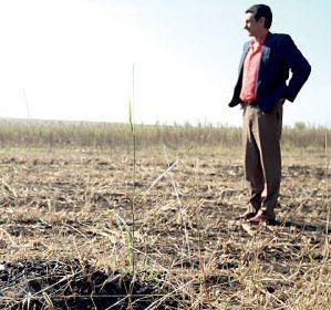 Taxa pe pârloagă, de zece ori mai mare decât impozitul pe terenul lucrat