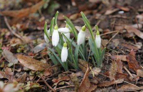 Vezi cum va fi vremea luni şi marţi în România