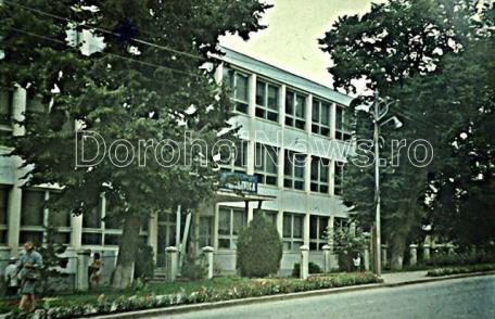 Amintiri despre trecut – Nostalgia teilor în „Dorohoiul de altădată”