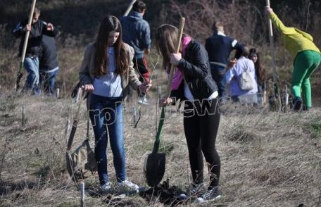 „România prinde rădăcini” la Dorohoi: Voluntariat pentru completarea plantației – VIDEO/FOTO