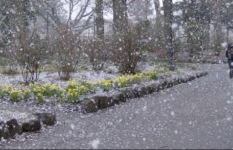 Vremea se schimbă radical la începutul săptămânii. Vin ploile şi lapoviţa