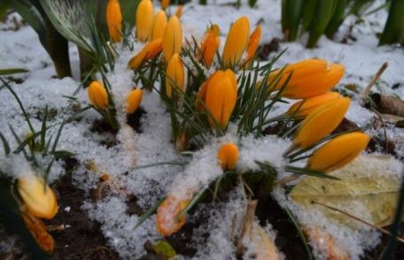 Cod galben de ninsori și ploi, emis în urmă cu puţin timp. Vezi zonele vizate