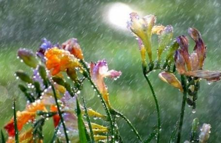 Vremea de Florii. Prognoza meteo pe trei zile!