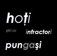 Doi botoşăneni cercetaţi de poliţişti pentru săvârşirea unei tâlhării 