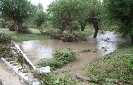 COD GALBEN pe Jijia și Bașeu privind depăşirea cotei de atenţie!