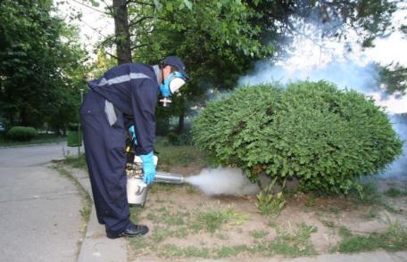 Isteria căpușelor. Câte poartă microbul care provoacă boala Lyme