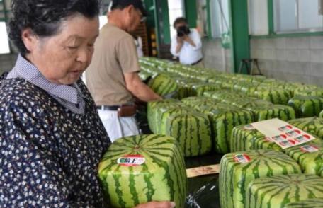 Câteva lucruri pe care nu le știai despre pepenele roşu