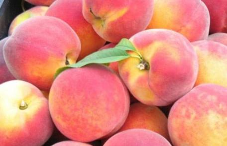 Fructe de sezon care întârzie îmbătrânirea și mențin ficatul sănătos