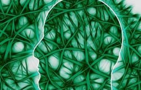 11 alimente care îţi ucid inteligenţa. Încet şi sigur!