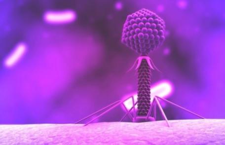 A fost descoperit un virus cu însuşiri misterioase. Jumătate din populaţia lumii îl are în organism