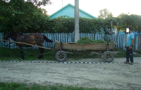 Ţigări de contrabandă ascunse în coşul unui atelaj hipo confiscate de polițișltii de frontieră dorohoieni