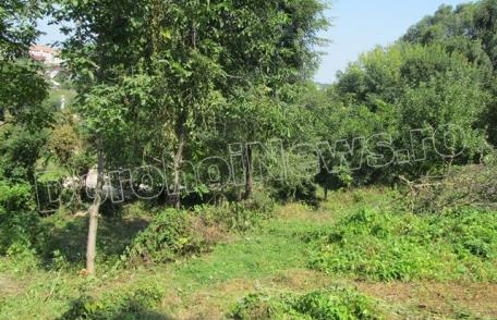 Parcul Cholet se extinde! Dorin Alexandrescu: „Va fi o zonă verde, de prelungire a parcului” - FOTO