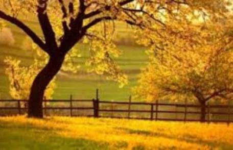 Prognoza meteo pe trei zile! Sigur vrei să afli dacă va mai fi cald