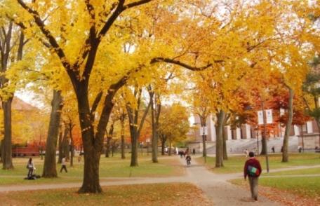 Prognoza meteo pe trei zile. Vremea caldă şi însorită continuă. Vezi de când vin ploile şi frigul