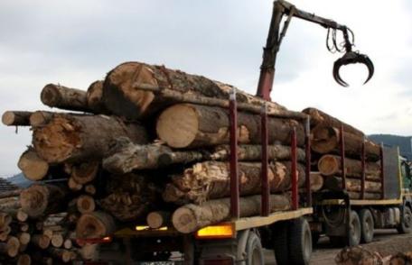 Radarul pădurilor va fi lansat în 8 octombrie. Orice transport de lemn va putea fi verificat la 112