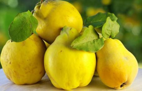 Gutuile, fructul-minune al toamnei