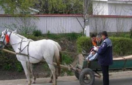 Poliția botoșăneană în campania „Săptămâna prevenirii criminalităţii”