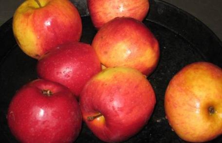 A fost demonstrat stiintific, merele prelungesc viata