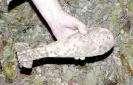 Un proiectil de artilerie a fost descoperit la un operator economic care comercializează fier vechi