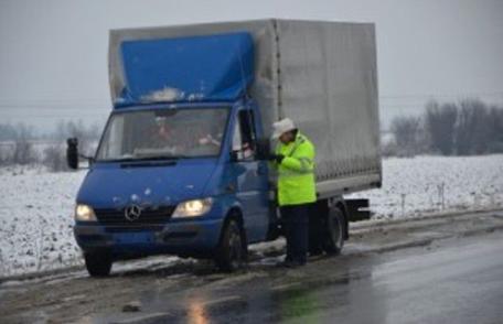 Transport de pește, fără documente de provenienţă