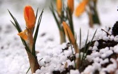 Vremea începe să dea semne de primăvară 