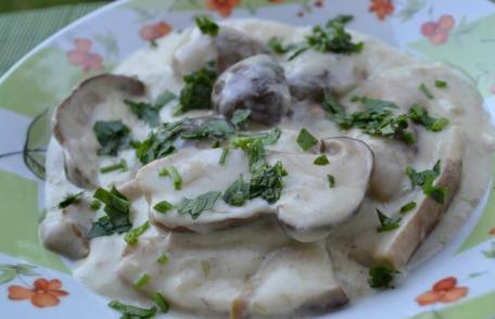 Tocăniță cu pui, ciuperci pleurotus și smântână