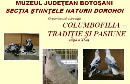 „Columbofilia - tradiție și pasiune”, ediția a XI-a la Muzeul de Știintele Naturii Dorohoi
