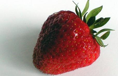 Fructele si legumele adevarate bombe cu otravuri