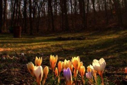 Vremea se răceşte de joi, iar ploile cuprind aproape toată ţara