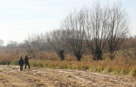 Migranţi ilegali depistaţi de poliţiştii de frontieră dorohoieni