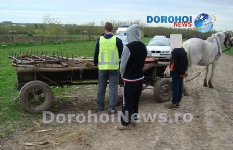 Căruța cu fund dublu - metodă inedită de contrabandă - Vezi VIDEO/FOTO!