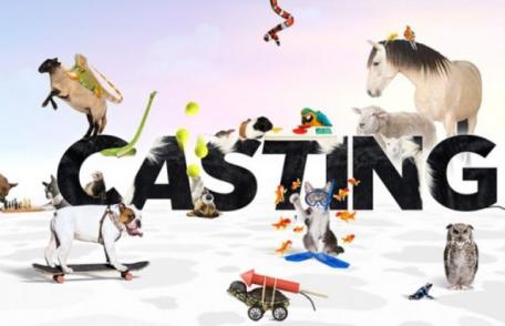 Antena 1 pregăteşte o mare surpriză Pro TV-ului. Plănuieşte un show prin care să rupă audienţele