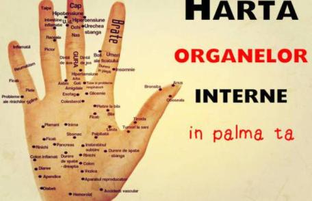 Harta mâinii tale. Unde să îți masezi palma ca să scapi de durere