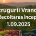 Vând struguri de vin, producție 2025