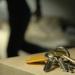 Ofer spre închiriere apartament cu două camere