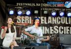 Festival FOLK 16 2014