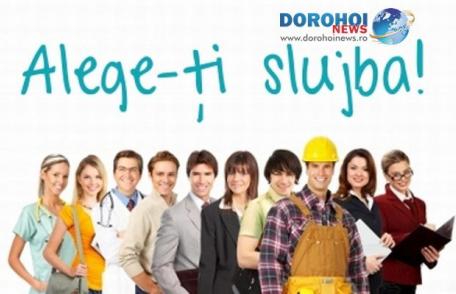 Locuri de muncă vacante anunţate de AJOFM Botoşani! Pentru Dorohoi doar un post cu studii medii 