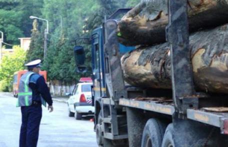 Material lemnos confiscat și amendă de 2.000 lei