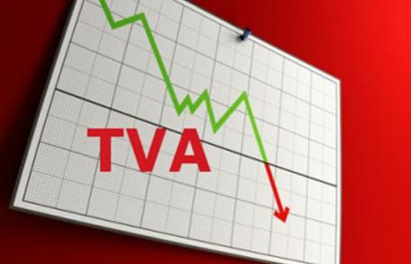 S-a aprobat TVA redus la 5% la cărţi, manuale, ziare, reviste şi pentru accesul la muzee