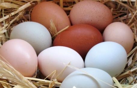 Iată câteva lucruri pe care nu le știai despre ouă