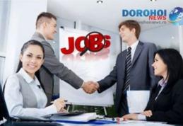 Peste 400 de locuri de muncă vacante în județul Botoșani sunt anunțate în această săptămână de AJOFM Botoșani
