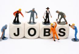 681 locuri de muncă vacante în Spaţiul Economic European 