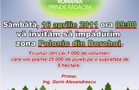 România prinde rădăcini și în Dorohoi