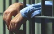 Arestat preventiv pentru 29 de zile pentru furturi de păsări 