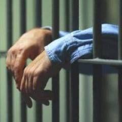 Arestat preventiv pentru 29 de zile pentru furturi de păsări 